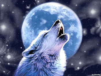 Wolfy moon, Wolf, Anime, Howling at moon, Cute HD wallpaper