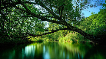 Backgrounds - background gallery . HD wallpaper