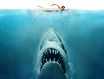 Classic Movies - Jaws (1975), Jaws Movie, Classic Movies, Jaws, Shark Movies HD wallpaper