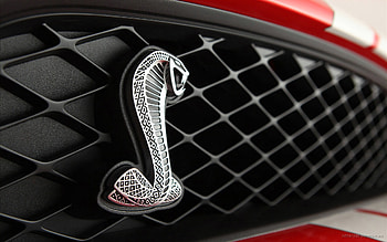 Ford Shelby Logo, ford-mustang, cars, logo HD wallpaper