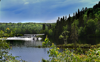 Seaplane in Lake, seaplane, forest, lake, Canada HD wallpaper