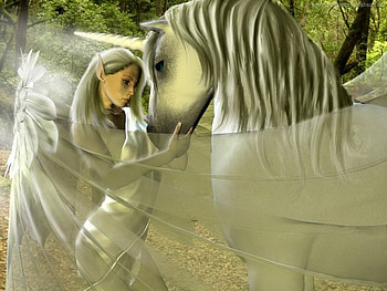 •⊰✿⊱•, unicorn, wings, angel, fantasy HD wallpaper