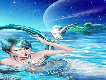 tropical night, night, blue, starfish, seagull, tropical, beauty HD wallpaper