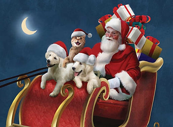 :), dog, blue, kitten, animal, craciun, man, cat, puppy, moon, fantasy, christmas, red, luna, sky, santa HD wallpaper