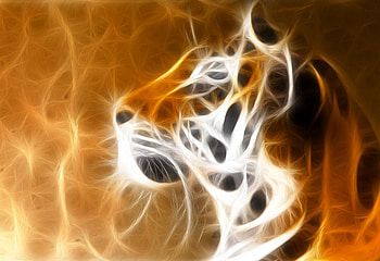 Side Fractal Profile of Siberian Tiger, beautiful, fractal, tiger, siberian HD wallpaper
