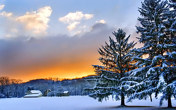 Morning Glory, winter, hills, snow, clouds, colors, trees, sky, sunrise HD wallpaper
