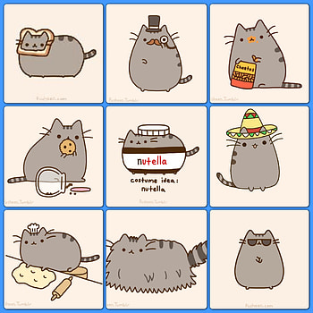 pusheen - Full Backgrounds, 2048 x 2048 kB) HD phone wallpaper