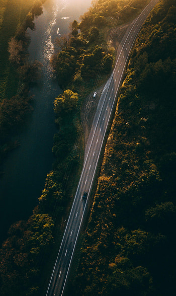 Nature, Rivers, Trees, View From Above, Beams, Rays, Road HD phone wallpaper