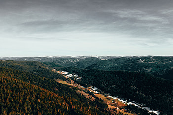 Nature, Trees, Sky, Autumn, View From Above, Forest HD wallpaper