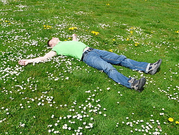 A man lies peacefully in a flowered meadow, embodying relaxation and summer joy. HD wallpaper