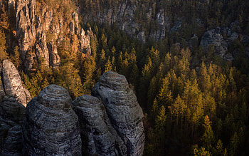 Saxony Germany, germany, mountains, forest, saxony HD wallpaper
