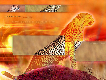 humility, to be humble, its hard, ur as good as iam, when HD wallpaper