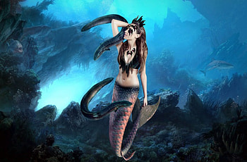 The Predator Mermaid, sea, fish, mermaid, fantasy HD wallpaper