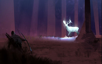 Hunting The White Stag, archer, white, stag, forest HD wallpaper