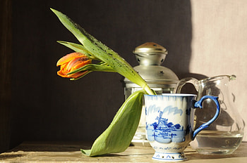 Still Life, tulip, with love, drops, nature, flowers, lantern, tulips HD wallpaper