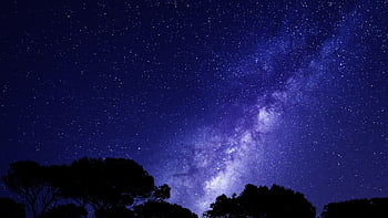 Beautiful night sky featuring the Milky Way and silhouettes of trees under a starry expanse. HD wallpaper