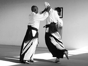 Aikido , Michelle Walker HD wallpaper