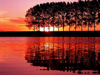 Sunlight among trees, river, among, sunlight, glow, lake, reflection, red, clouds, trees, nature, sky, water HD wallpaper