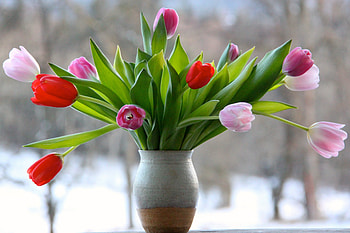Flowers, vase, red, pink tulip HD wallpaper