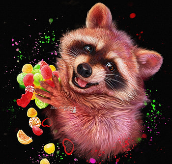 Sweet tooth, fantasy, sweets, elena roslyakova, alenaekaterinburg, raccoon, colorful, frumusete, black, gorgeous, superb HD wallpaper