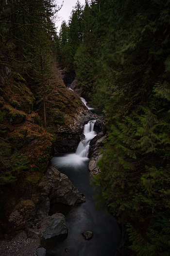 Nature, Rivers, Trees, Waterfall, Forest, Flow HD phone wallpaper