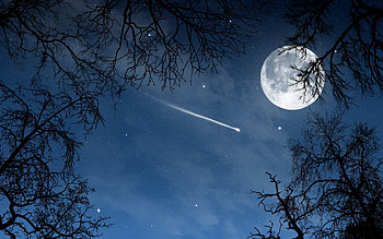 Landscape, Night, Moon HD wallpaper
