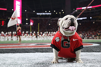 Georgia Bulldogs , Sports team, College athletics, Team pride HD wallpaper