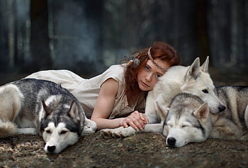 Beauty and the beasts, animal, white, model, girl, katerina plotnikova, wolf, lup, woman HD wallpaper