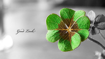 Good Luck, Top , Inspirational backgrounds, Wishful thinking HD wallpaper