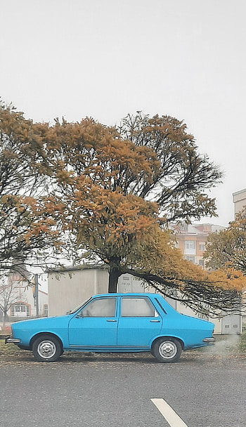 DACIA 1310 Blue 2021, car, tree, romania HD phone wallpaper