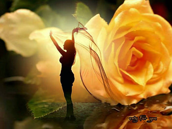 Only For You, rose, girl, model, beauty HD wallpaper