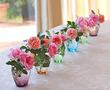 Flowers, Roses, Row, Vases HD wallpaper