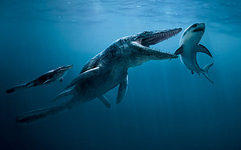Dinosaur HD wallpaper