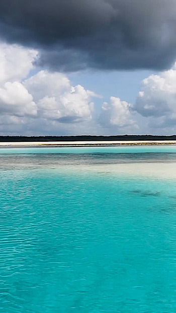 Zanzibar beauty, Tropical paradise, Island escape, Exotic destination HD phone wallpaper
