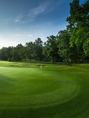 Golf , Beautiful golf course, Panoramic view, Serene atmosphere HD phone wallpaper