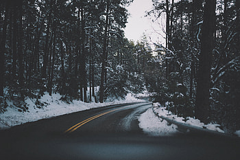 Nature, Trees, Snow, Road, Turn, Asphalt HD wallpaper
