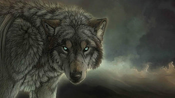 Wolf , Intriguing creature, Striking visuals, Enigmatic beauty HD wallpaper