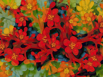 Cheerfulness, flowers, 3d, art HD wallpaper