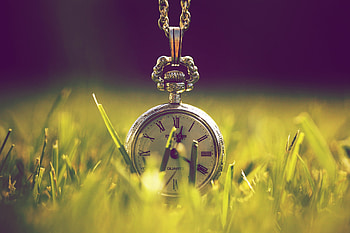 Grass, Miscellanea, Miscellaneous, Design, Cap, Chain, Pocket Watch, Lid HD wallpaper