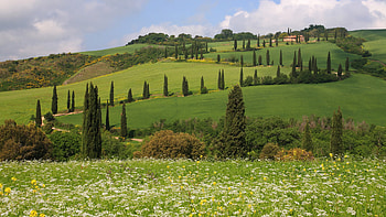 house on a hill, trees, road, hill, house HD wallpaper