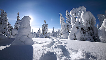 Winter in Finland , backgrounds, Tom of Finland artwork, Stunning visuals HD wallpaper