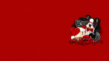 Happy Valentine's Day!, dog, valentine, puppy, maryline cazenave, red, card, heart, caine HD wallpaper