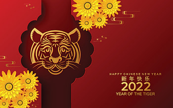 Tiger 2022, Chinese New Year, Year of the Tiger, Festive traditions HD wallpaper
