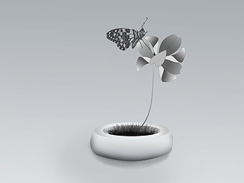 ABSTRACT, digital, butterfly, flower, gift, plant bw HD wallpaper