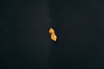 Minimalist of a single yellow leaf on a dark, textured background, conceptually stark. HD wallpaper