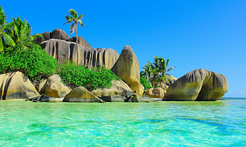 Tropical Paradise, palms, sea, coast, tropical, rocks, beach HD wallpaper