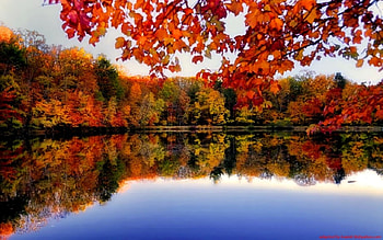 Autumn Riverside, river, reflection, trees, autumn, nature, forest HD wallpaper