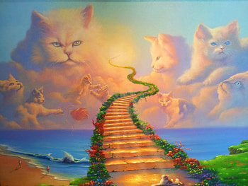 Heavenly path cats, sea, cats, stair, minion HD wallpaper