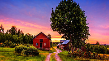 Countryside Home, road, barn, house, colors, trees, sky HD wallpaper