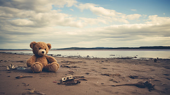 Teddy Bear on Beach - Plush Toy, teddy bear, man made, stuffed animal HD wallpaper